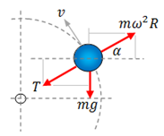 Vertical motion free body diagram